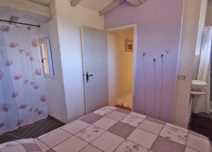 Bleuets D'azur Sainte-Maxime